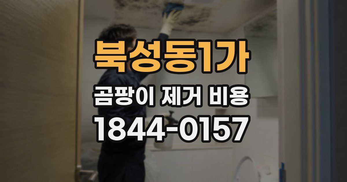 북성동1가 곰팡이 제거 비용