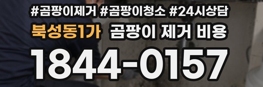 북성동1가 곰팡이 제거 비용
