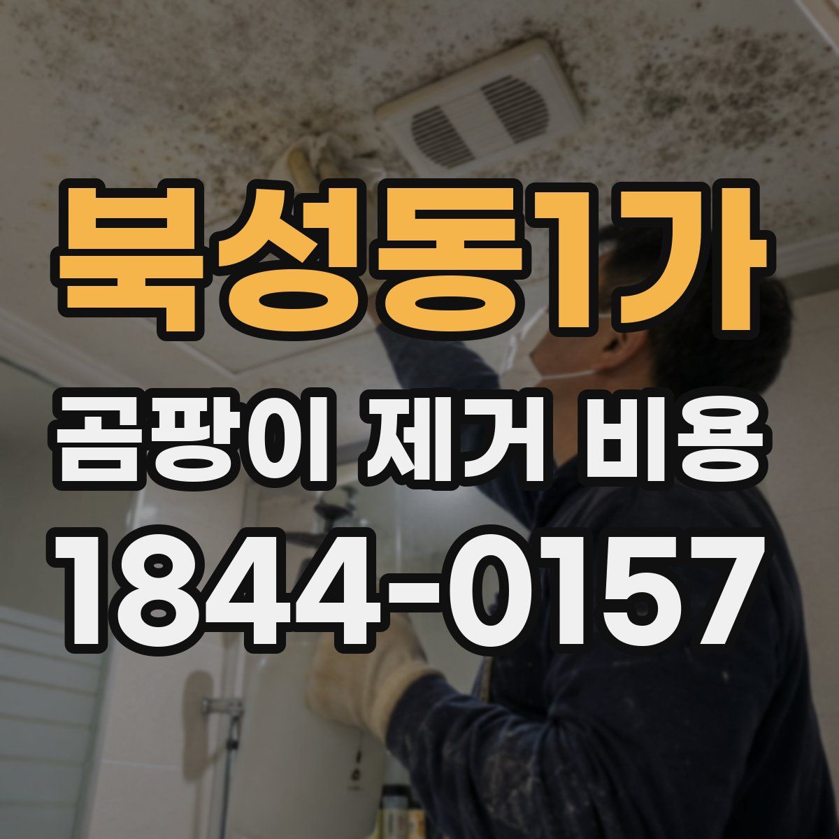 북성동1가 곰팡이 제거 비용