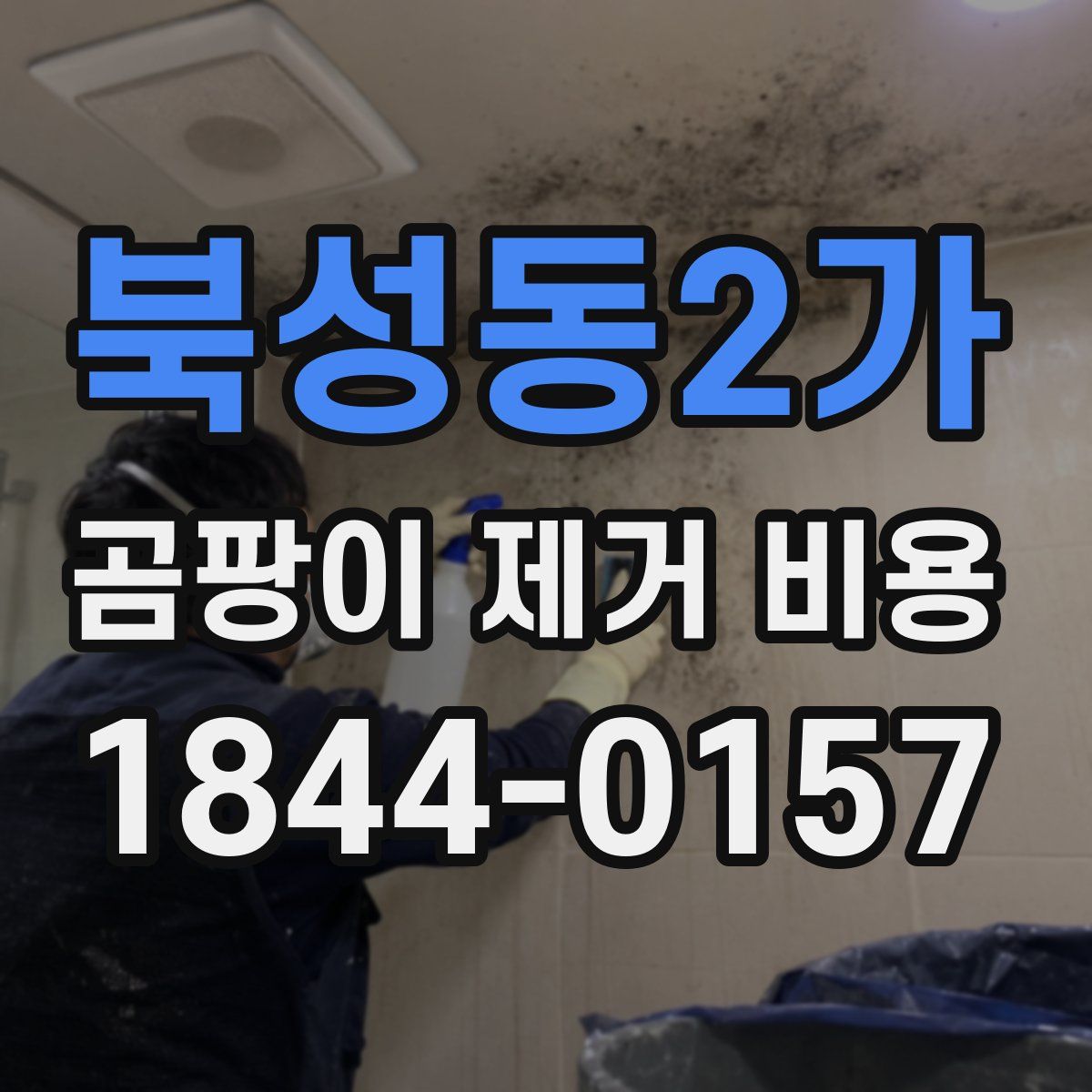 북성동2가 곰팡이 제거 비용