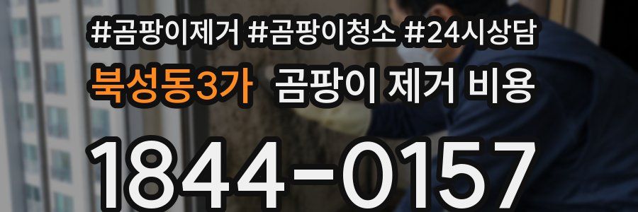 북성동3가 곰팡이 제거 비용