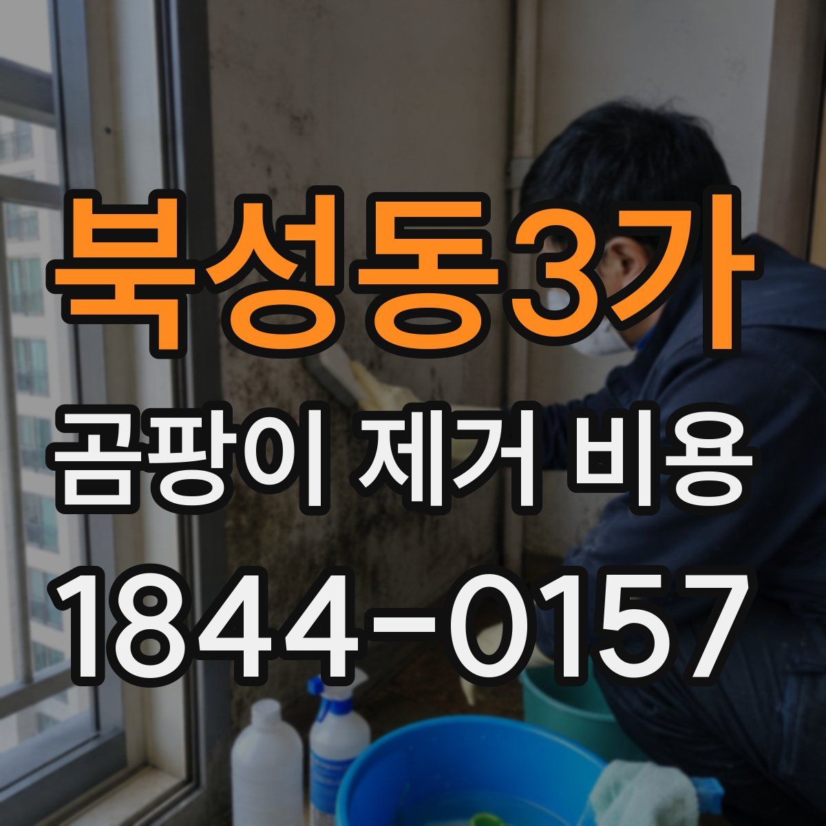 북성동3가 곰팡이 제거 비용