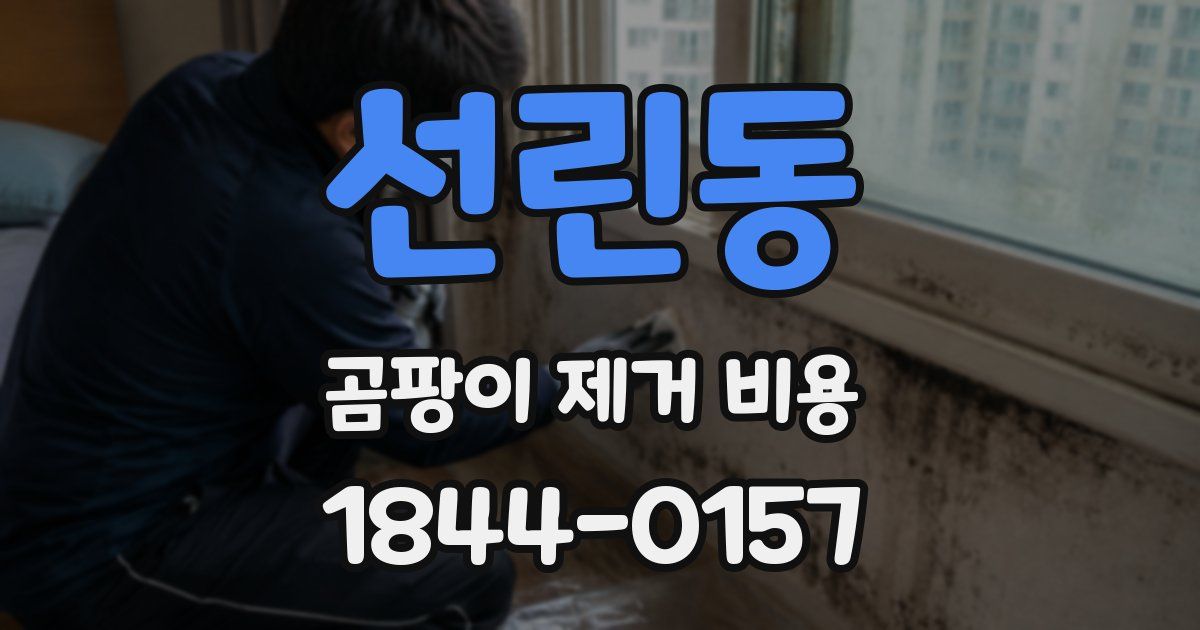 선린동 곰팡이 제거 비용
