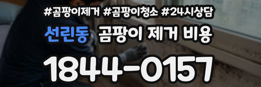 선린동 곰팡이 제거 비용
