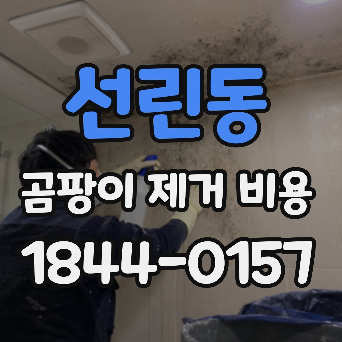 선린동 곰팡이 제거 비용