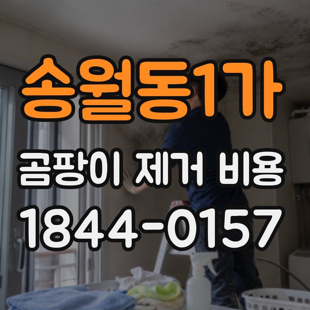 송월동1가 곰팡이 제거 비용 현장 상태에 따라 달라지는 견적 포인트