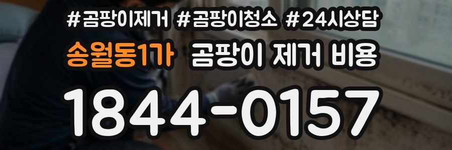 송월동1가 곰팡이 제거 비용