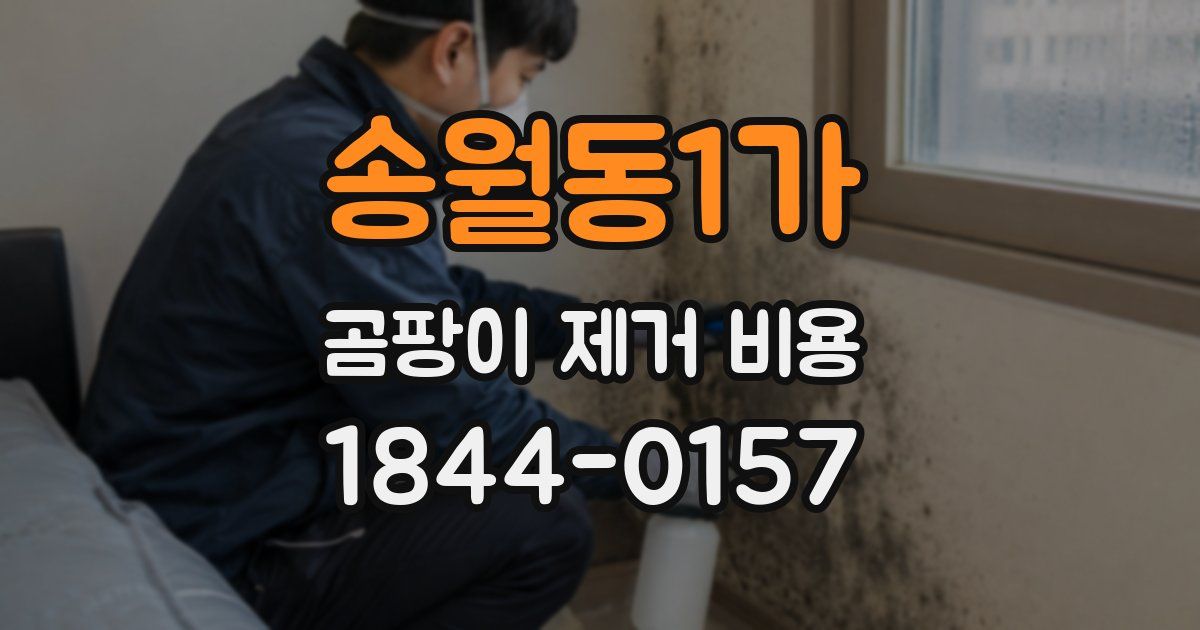 송월동1가 곰팡이 제거 비용