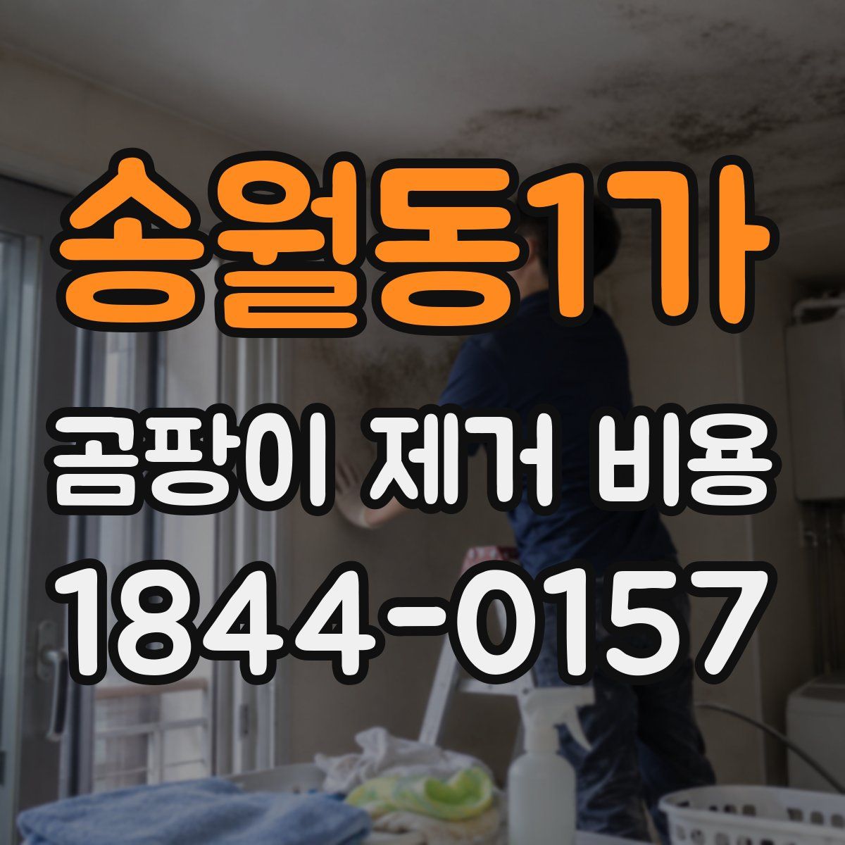 송월동1가 곰팡이 제거 비용