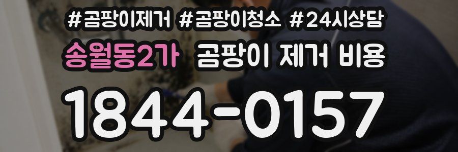 송월동2가 곰팡이 제거 비용
