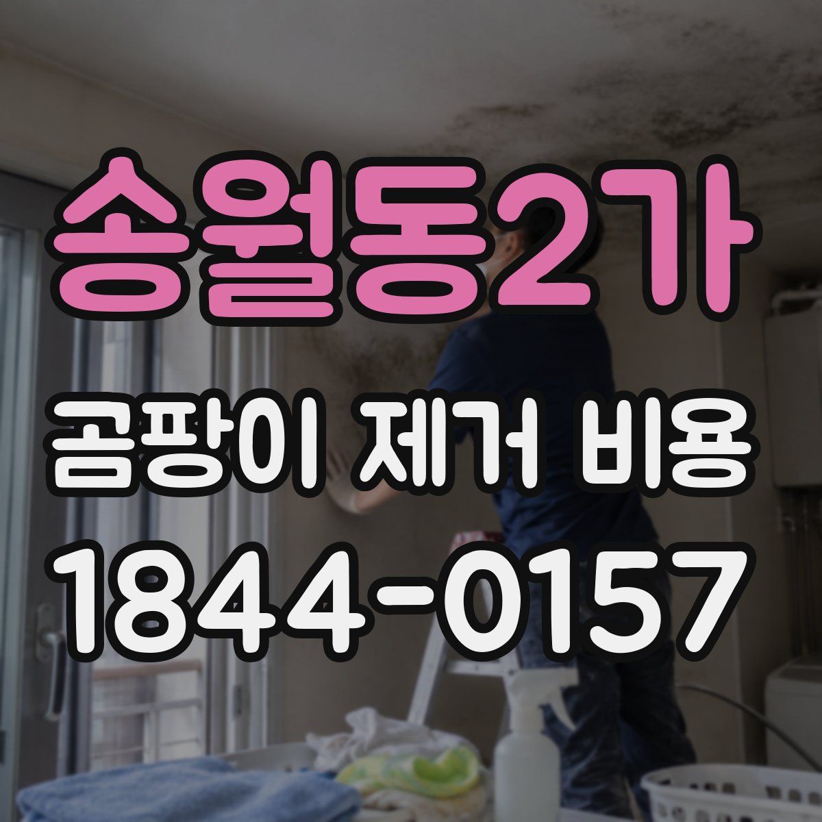 송월동2가 곰팡이 제거 비용
