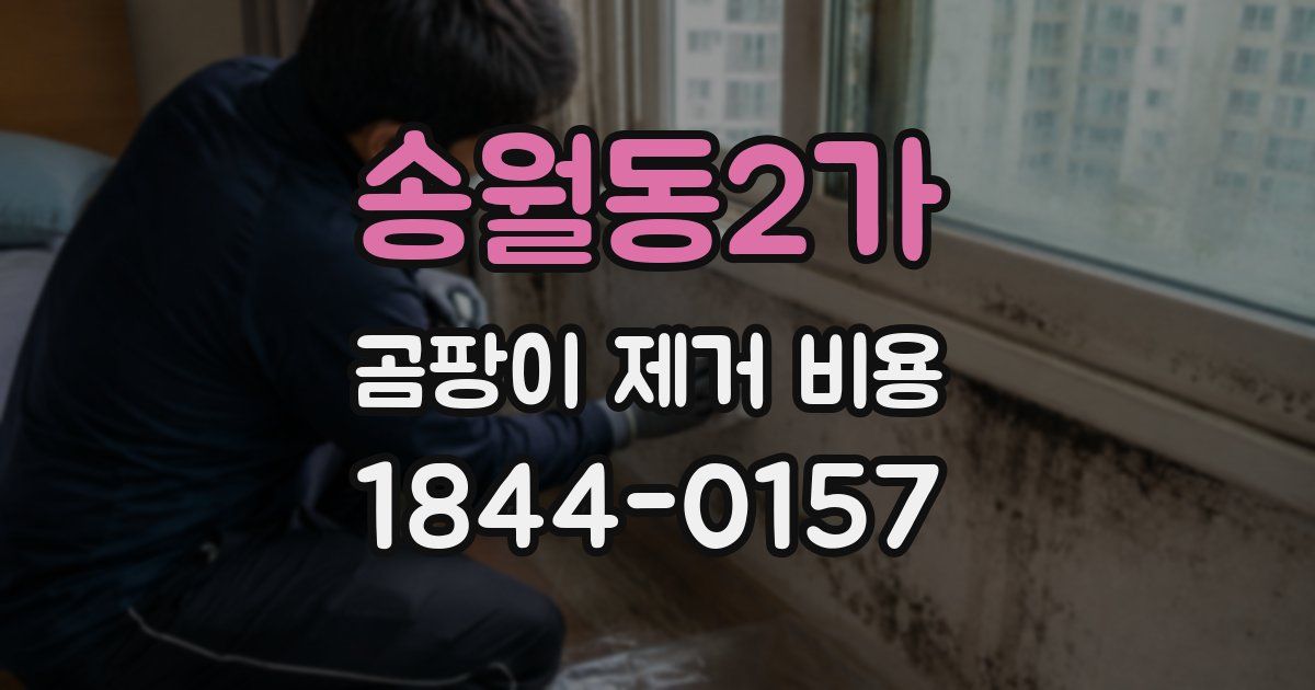 송월동2가 곰팡이 제거 비용