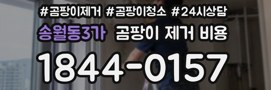 송월동3가 곰팡이 제거 비용