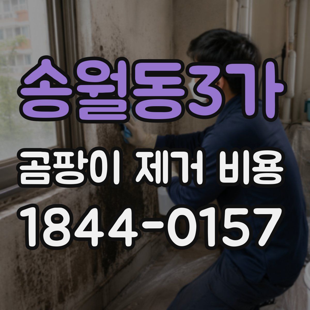 송월동3가 곰팡이 제거 비용