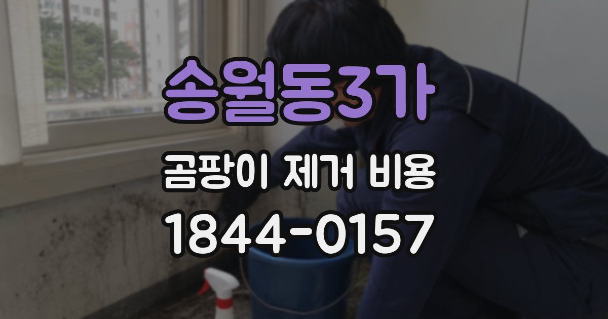송월동3가 곰팡이 제거 비용