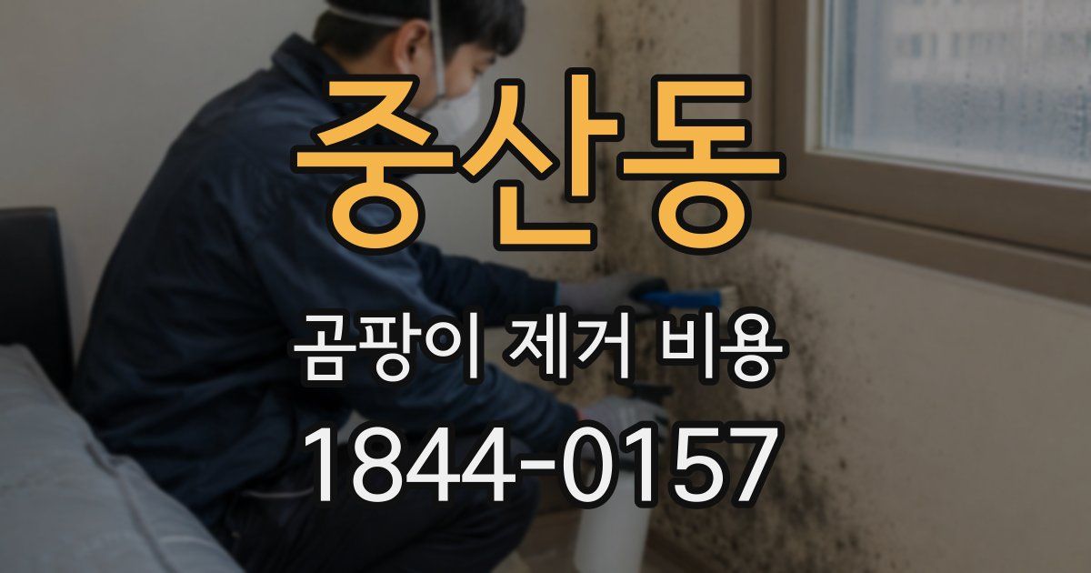 중산동 곰팡이 제거 비용