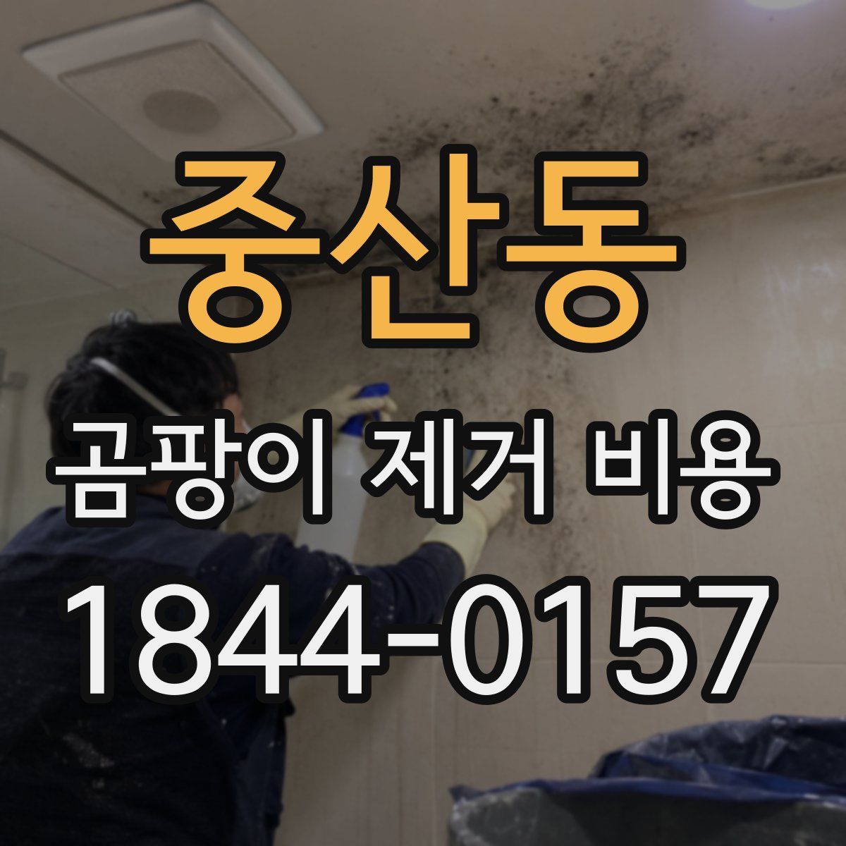 중산동 곰팡이 제거 비용