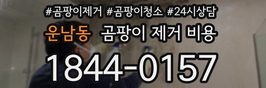 운남동 곰팡이 제거 비용