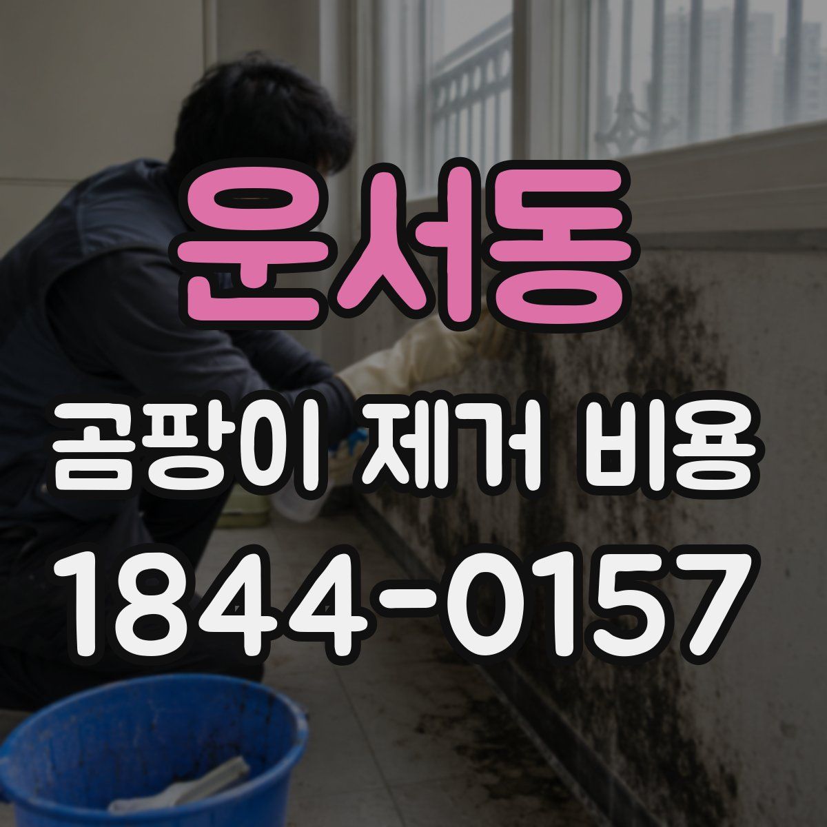 운서동 곰팡이 제거 비용