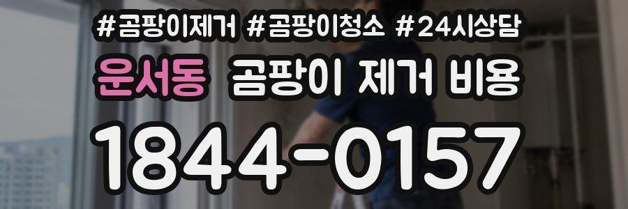 운서동 곰팡이 제거 비용