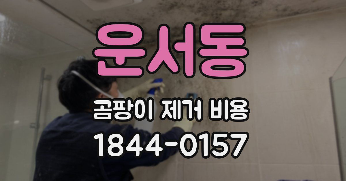 운서동 곰팡이 제거 비용