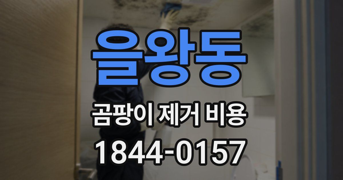 을왕동 곰팡이 제거 비용