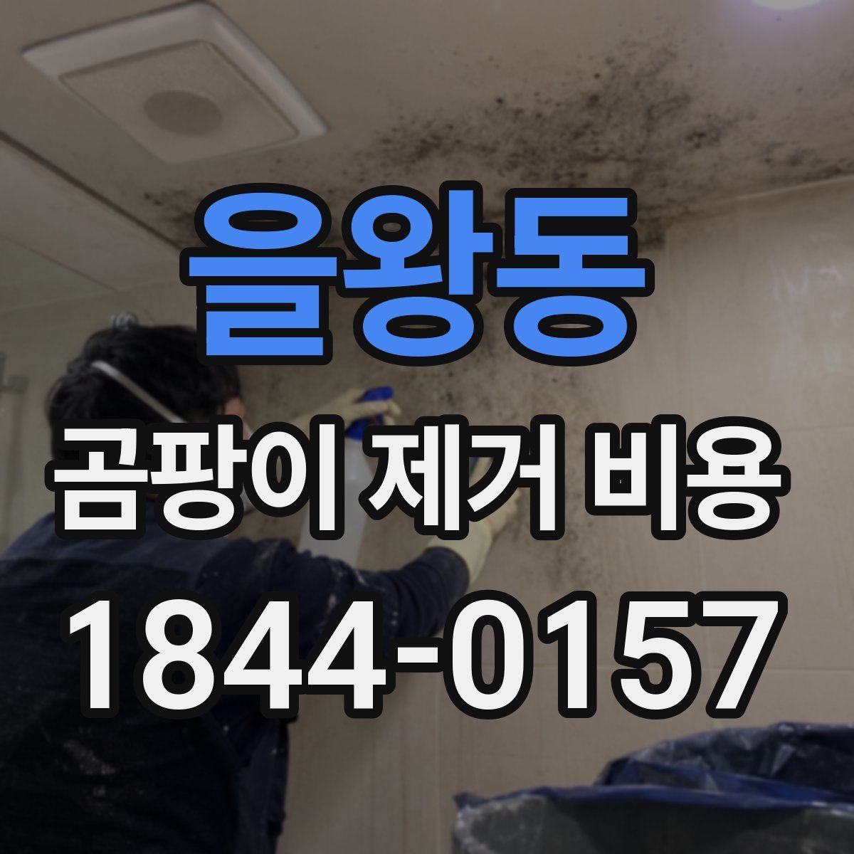 을왕동 곰팡이 제거 비용