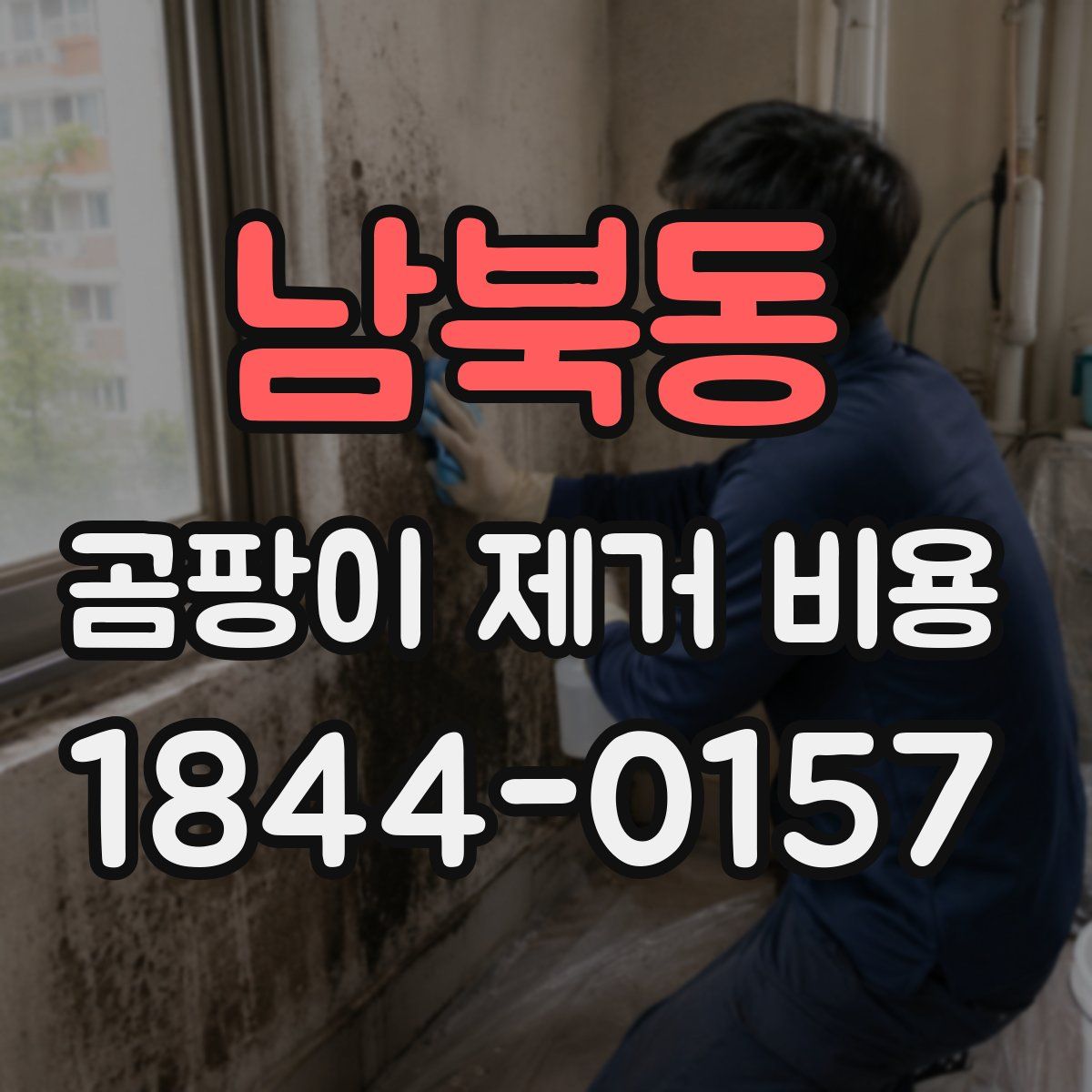 남북동 곰팡이 제거 비용