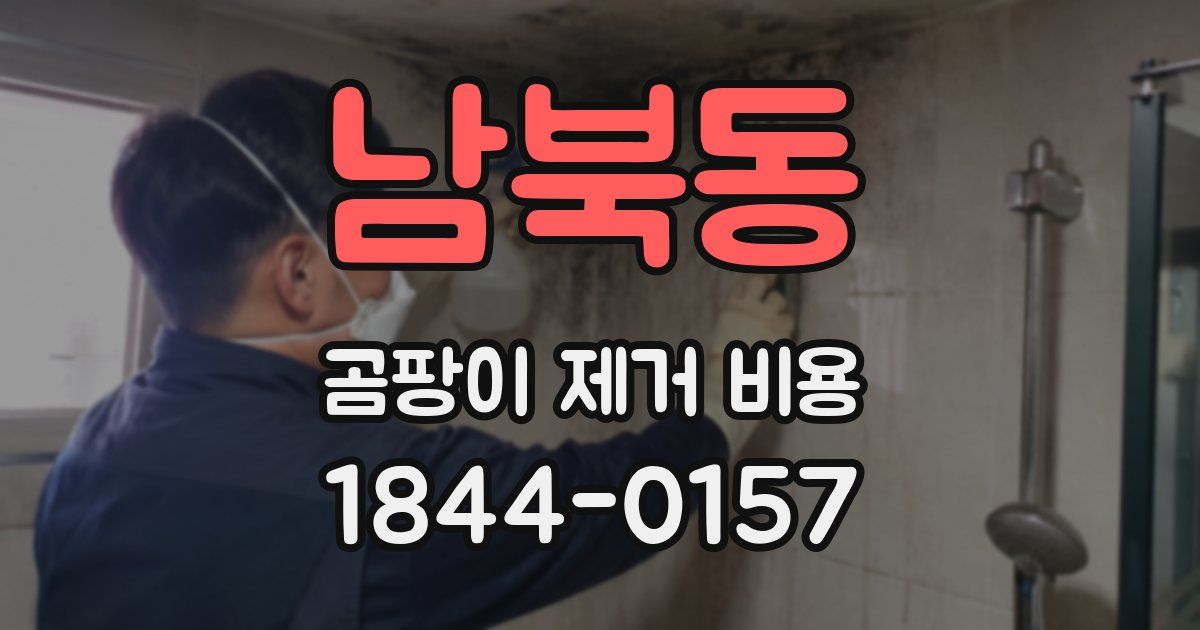 남북동 곰팡이 제거 비용