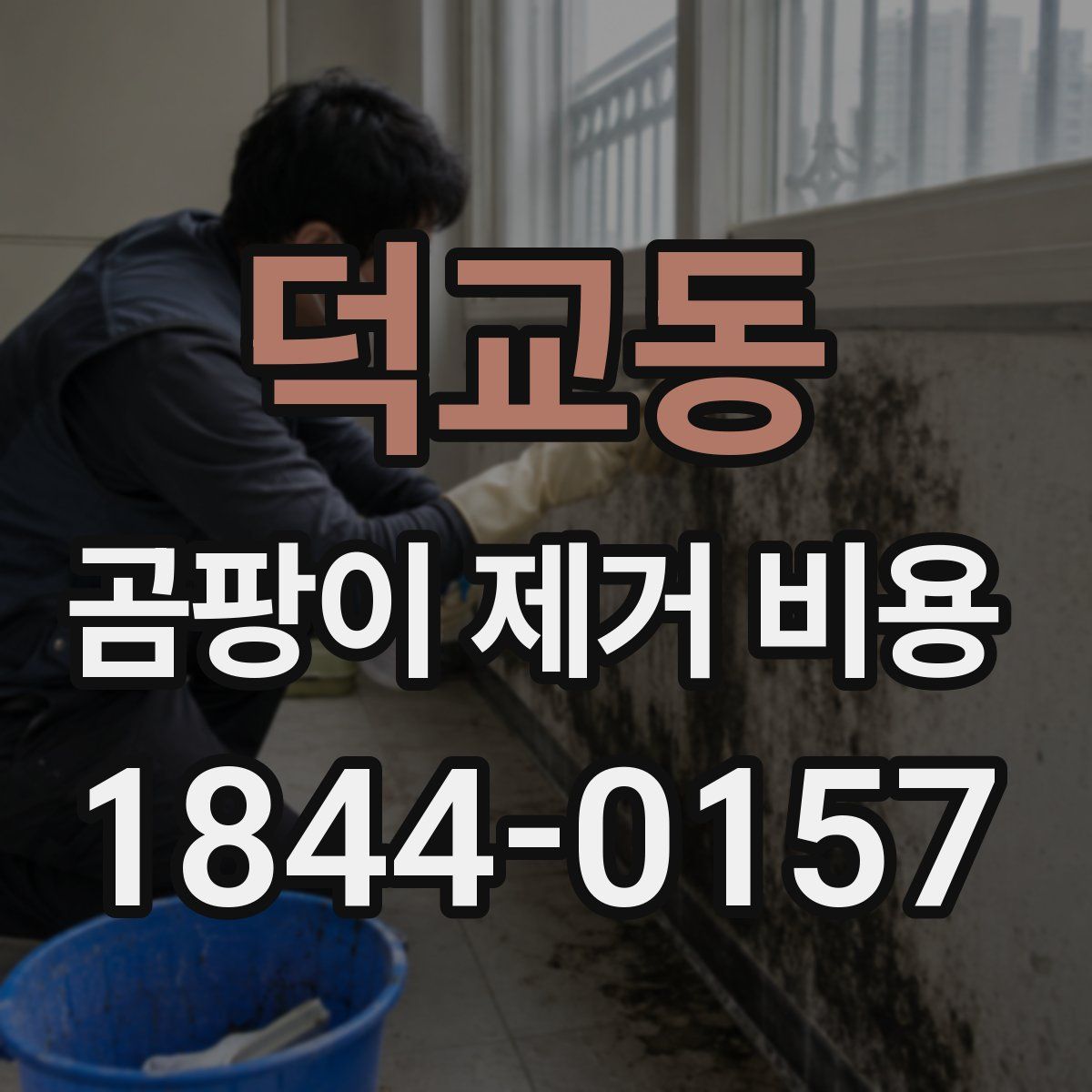 덕교동 곰팡이 제거 비용
