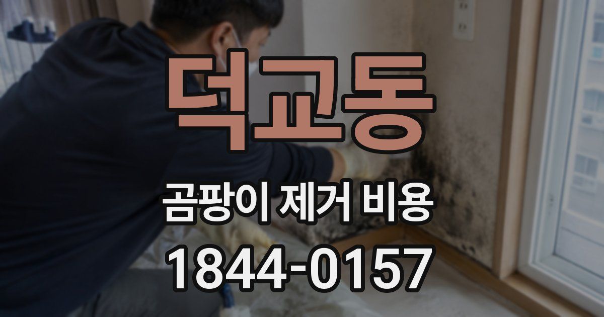 덕교동 곰팡이 제거 비용