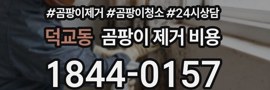 덕교동 곰팡이 제거 비용