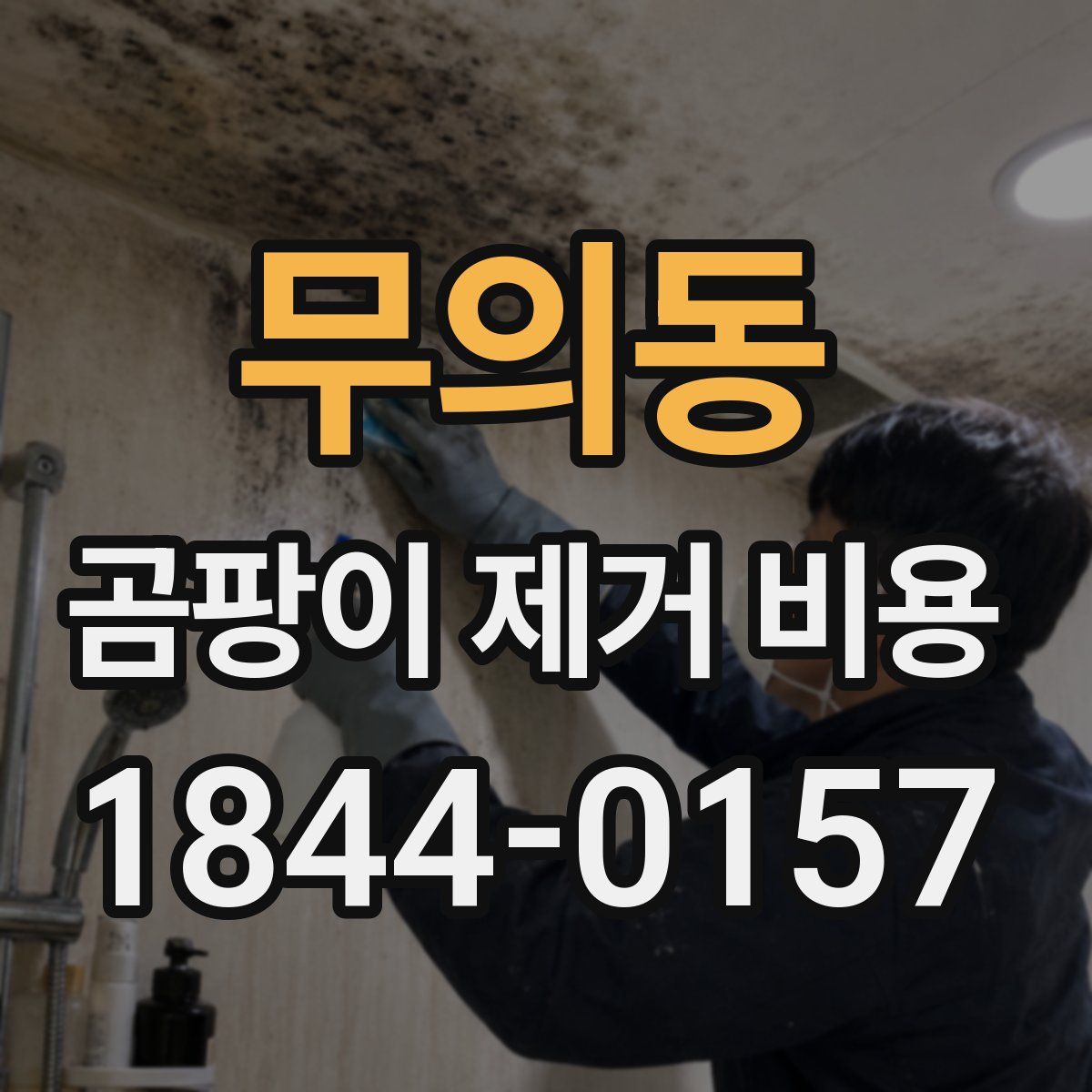 무의동 곰팡이 제거 비용