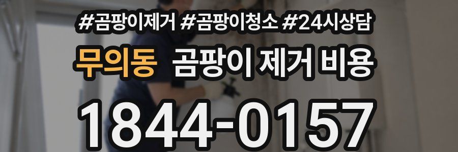 무의동 곰팡이 제거 비용