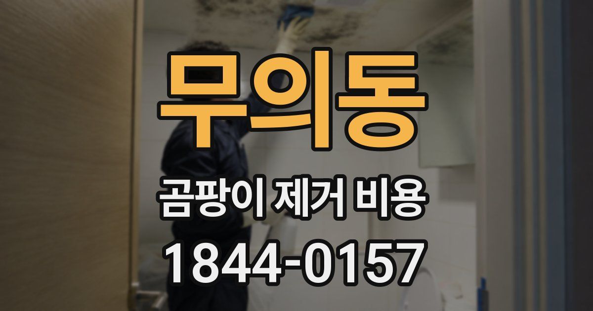 무의동 곰팡이 제거 비용