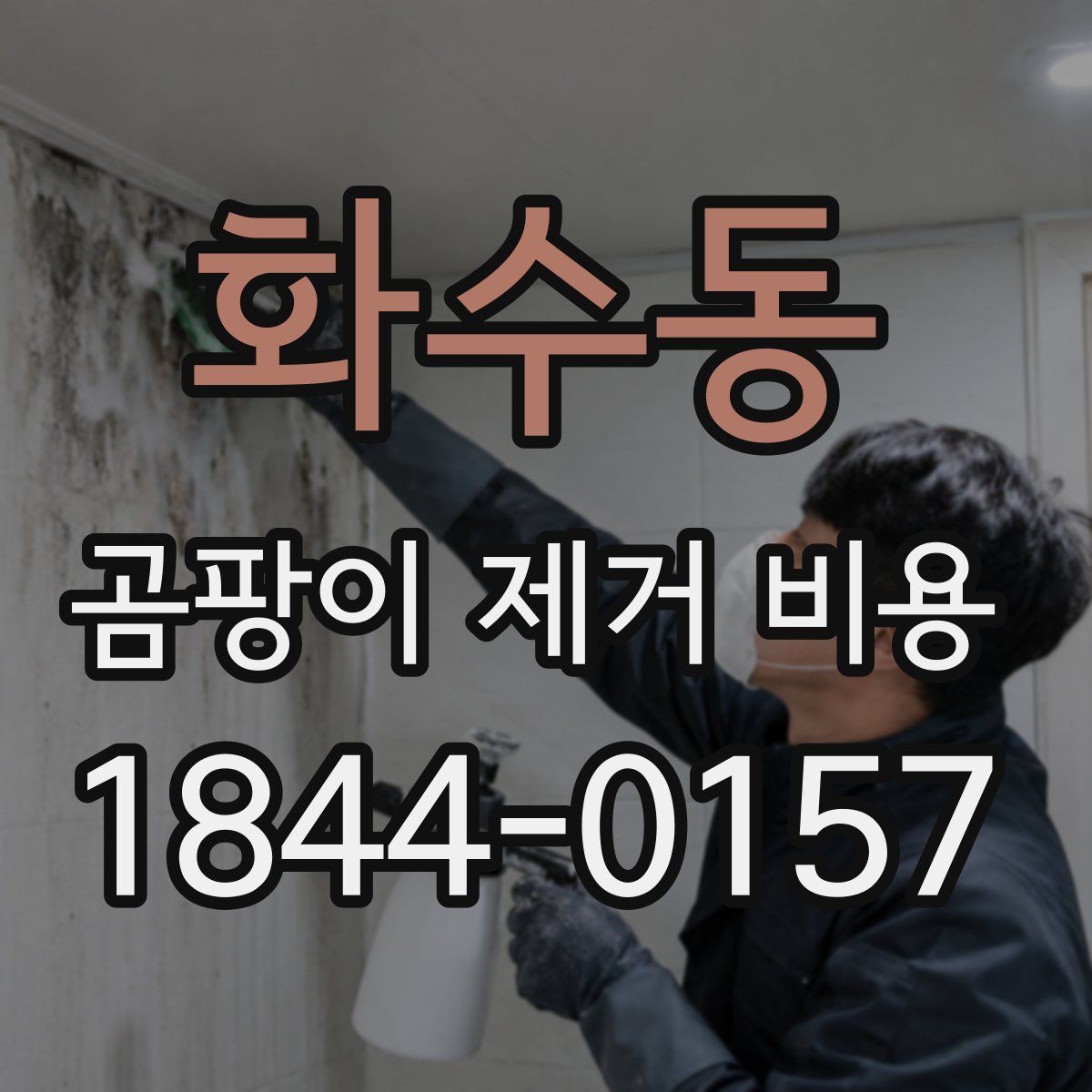 화수동 곰팡이 제거 비용