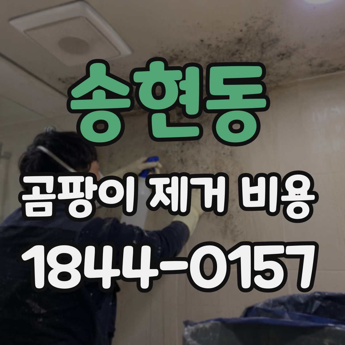 송현동 곰팡이 제거 비용
