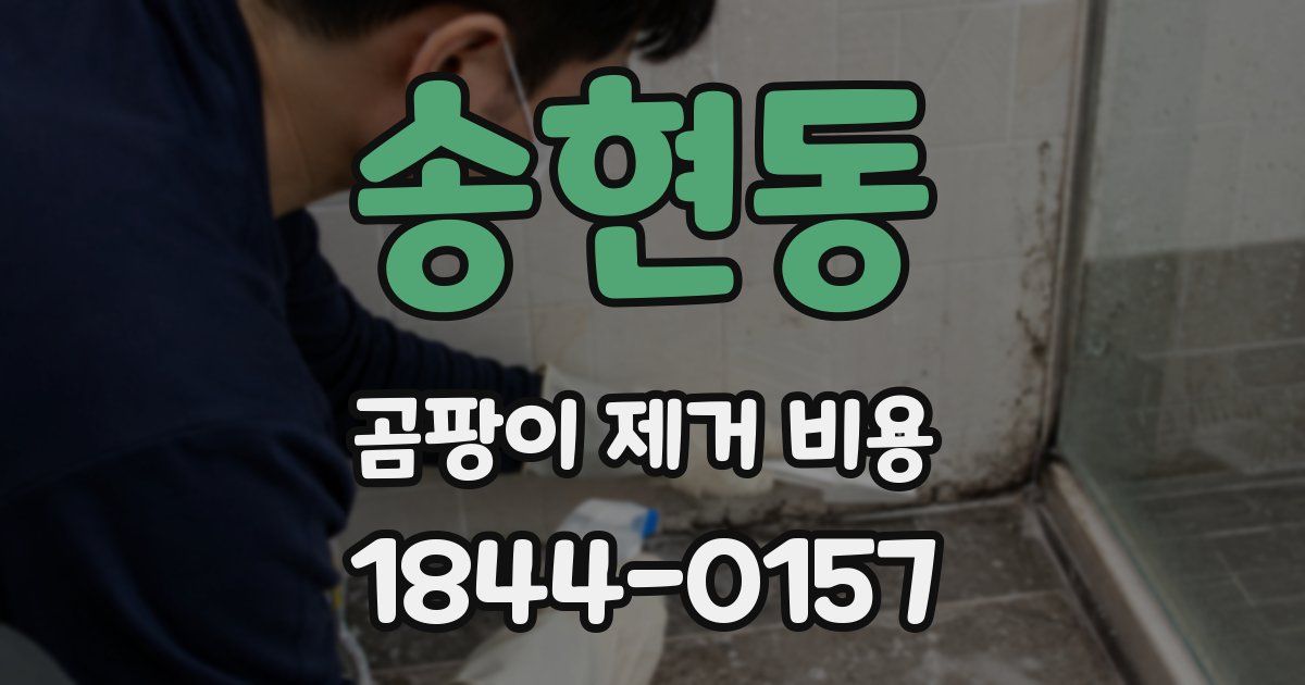 송현동 곰팡이 제거 비용