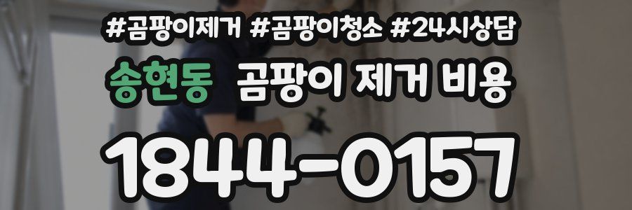 송현동 곰팡이 제거 비용