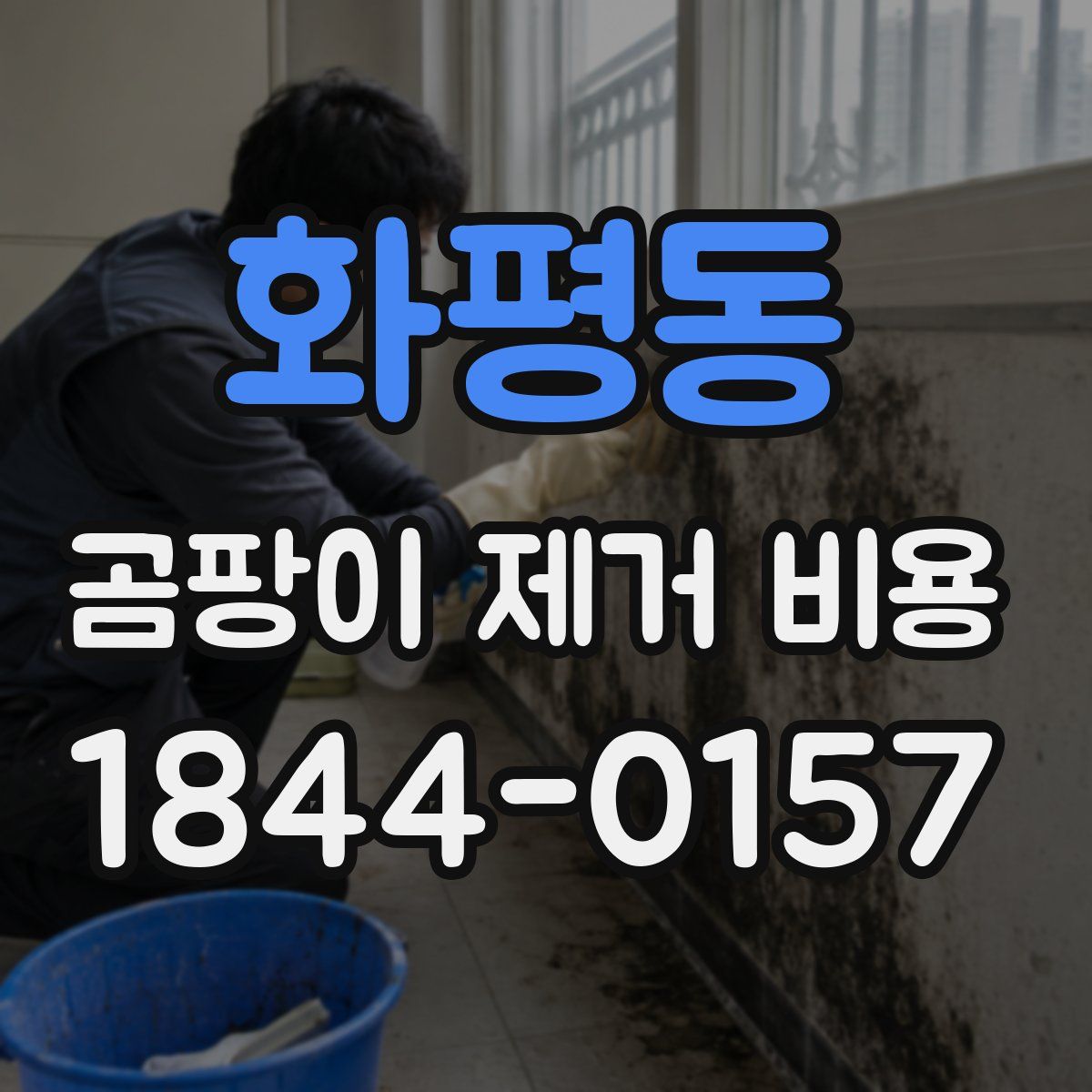 화평동 곰팡이 제거 비용
