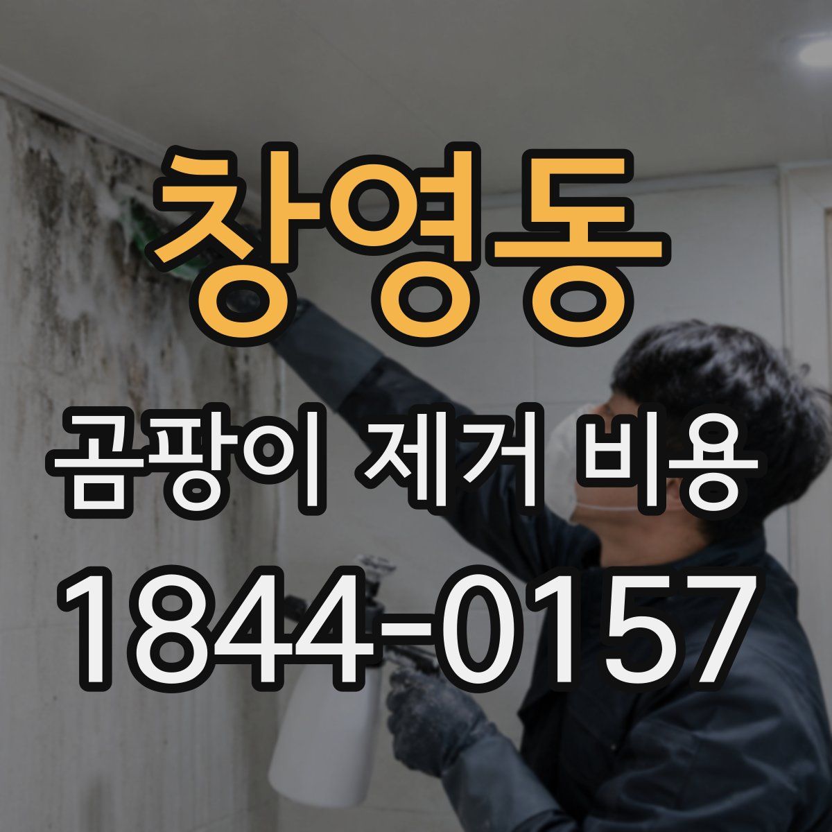 창영동 곰팡이 제거 비용