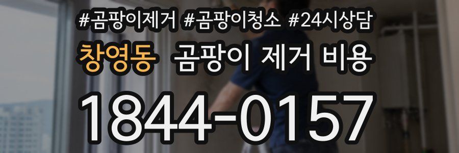 창영동 곰팡이 제거 비용