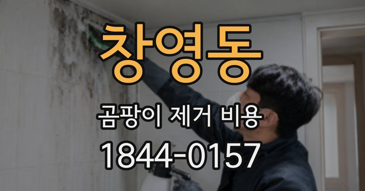 창영동 곰팡이 제거 비용