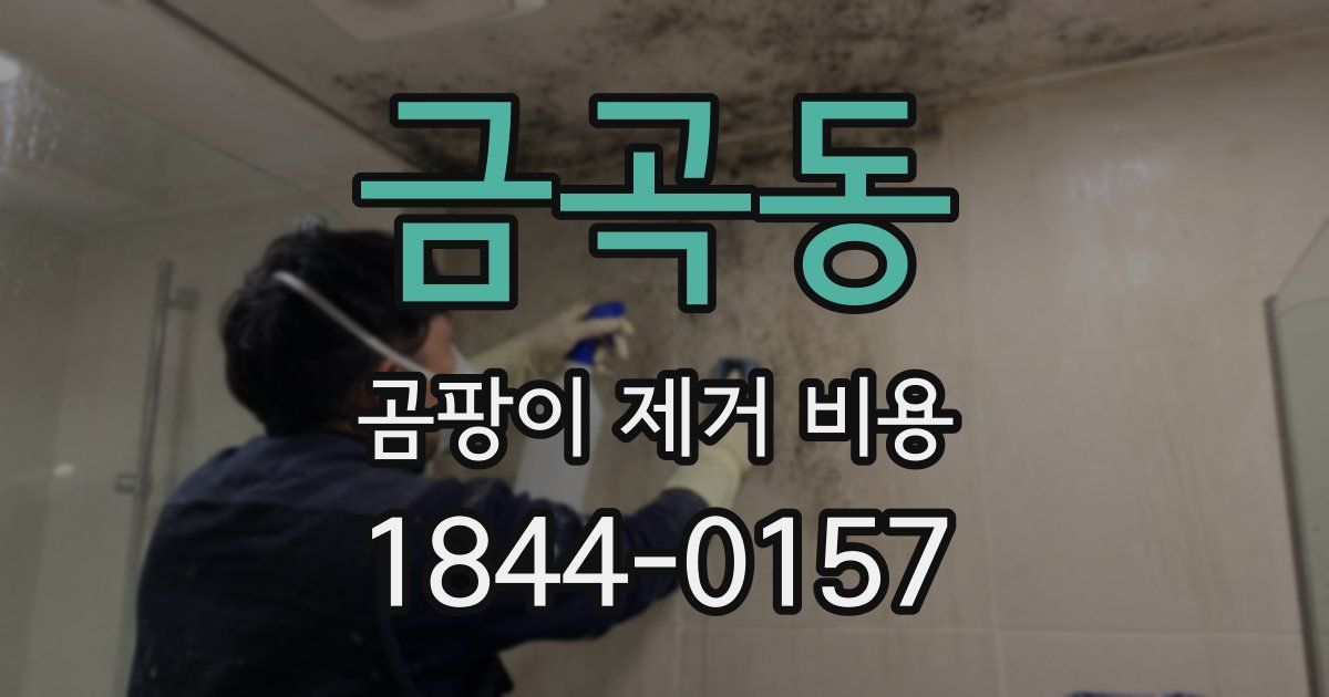 금곡동 곰팡이 제거 비용