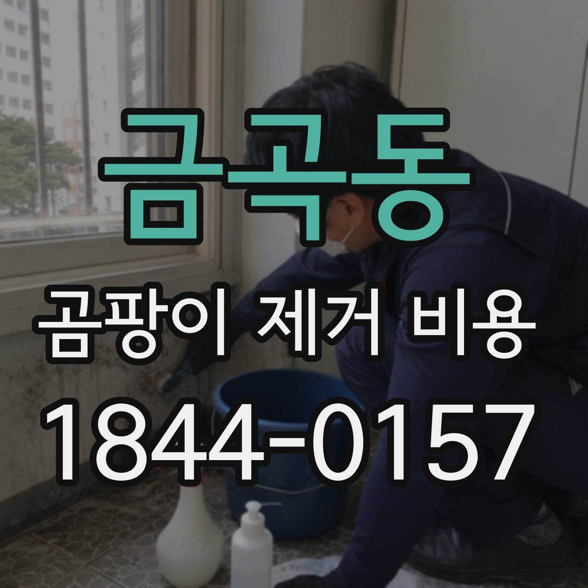 금곡동 곰팡이 제거 비용