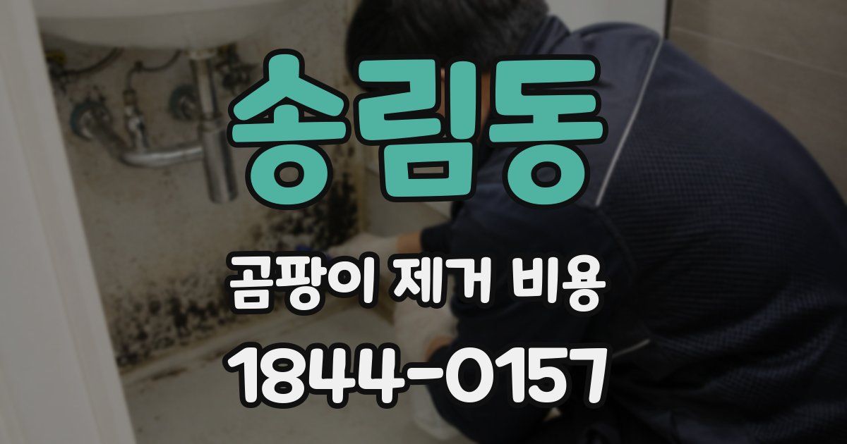 송림동 곰팡이 제거 비용