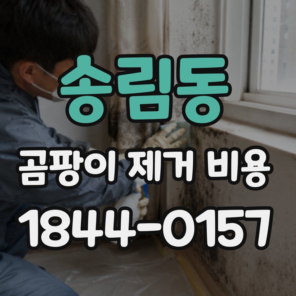 송림동 곰팡이 제거 비용