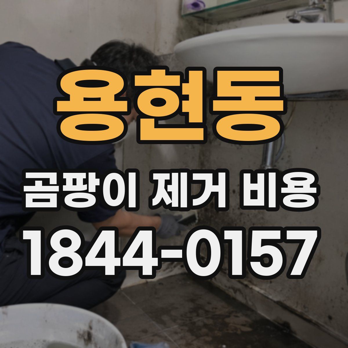 용현동 곰팡이 제거 비용