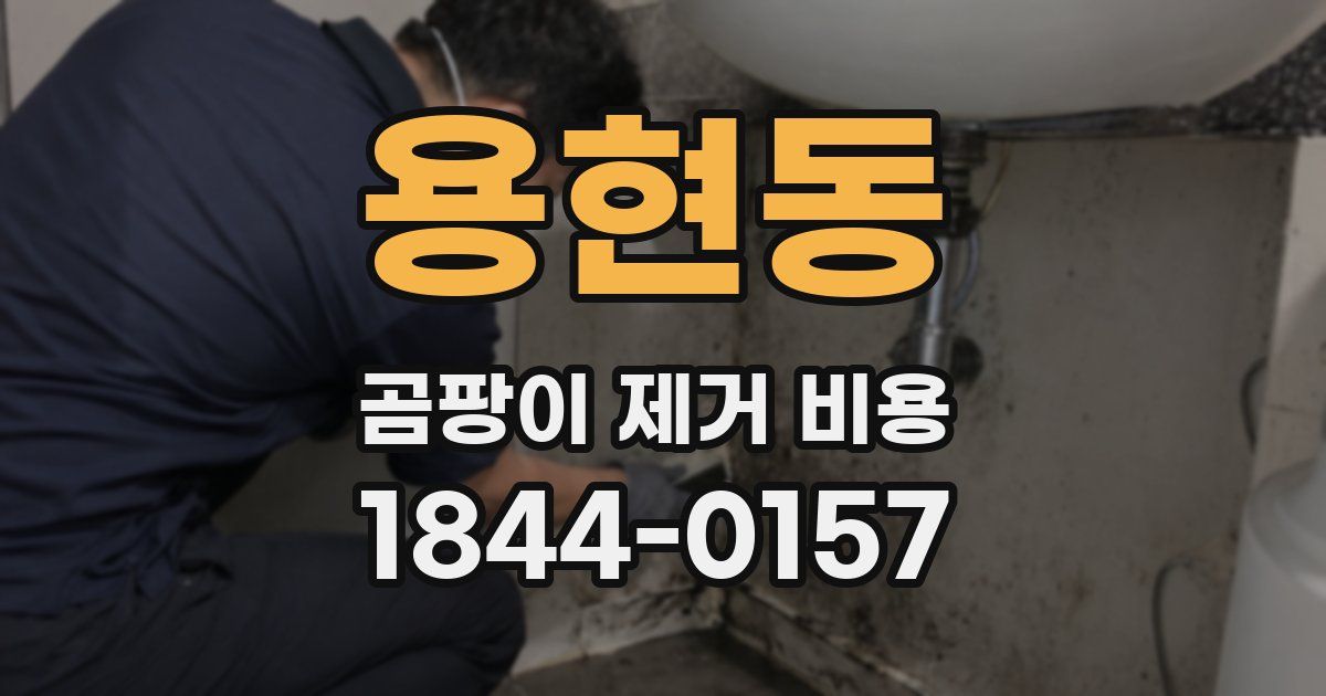 용현동 곰팡이 제거 비용