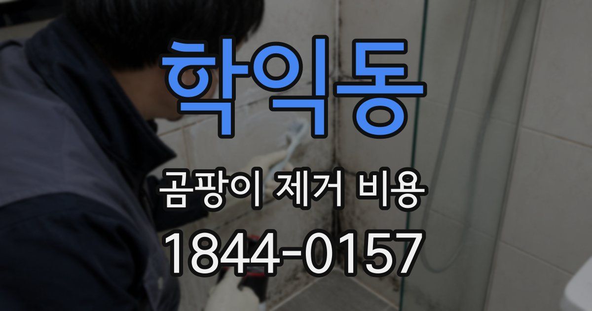 학익동 곰팡이 제거 비용